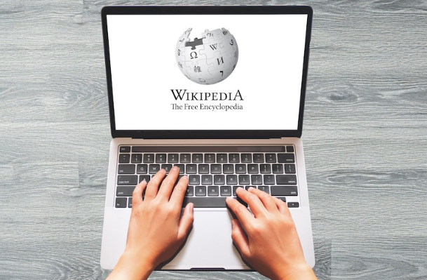 Professional Guide to Improving Community Encyclopedia Entries